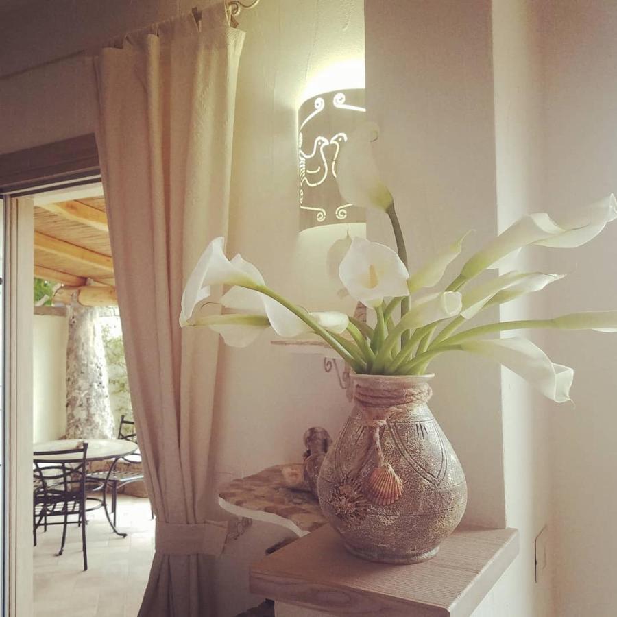 Nonna Pasqualina B&B 圣特雷莎加卢拉 外观 照片