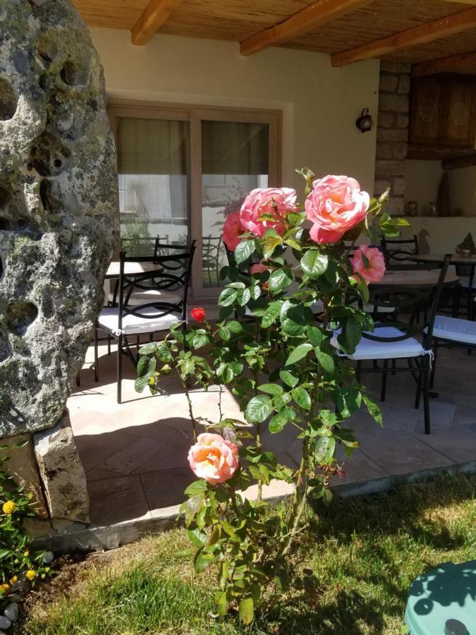 Nonna Pasqualina B&B 圣特雷莎加卢拉 外观 照片